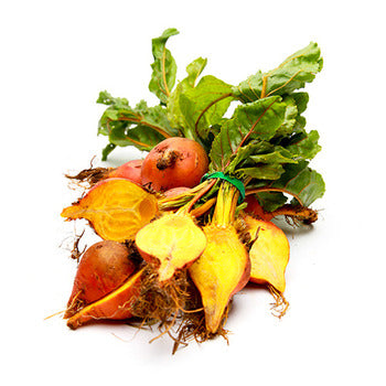 Wholesale Dix Farms Baby Bunched Golden Beets- Bulk