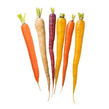 Wholesale Dix Farms Large Rainbow Carrots 25lb- Bulk