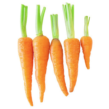 Wholesale Dix Farms Baby Peeled Carrots with Tops 5lb- Bulk