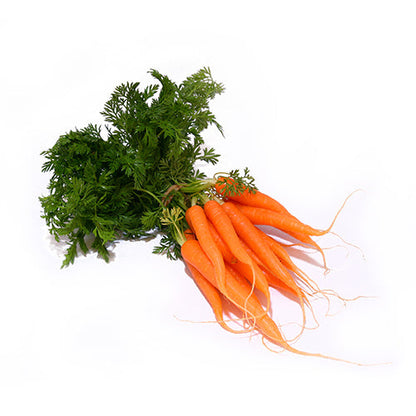 Wholesale Dix Farms Bunched Baby Carrots- Bulk