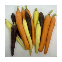 Wholesale Dix Farms Baby Peeled Rainbow Carrots 5lb- Bulk