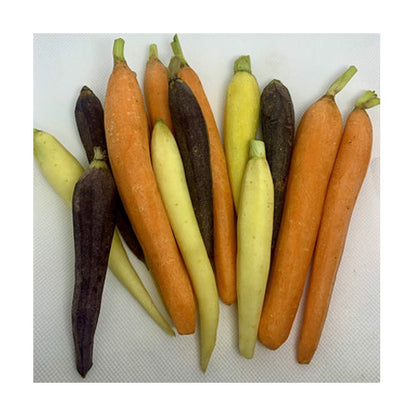 Wholesale Dix Farms Baby Peeled Rainbow Carrots 5lb- Bulk