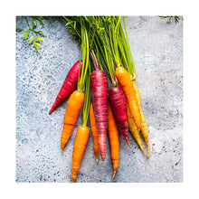 Wholesale Dix Farms Rainbow Bunched Baby Carrots- Bulk