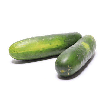 Wholesale Dix Farms Select Cucumbers- Bulk