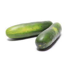Wholesale Dix Farms Select Cucumbers- Bulk