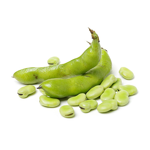 Wholesale Dix Farms Fava Beans 10lb- Bulk