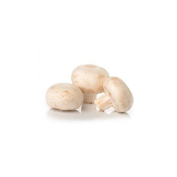 Wholesale Dix Farms Medium White Mushrooms 10lb- Bulk