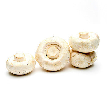 Wholesale Dix Farms Silver Dollar Mushrooms 10lb- Bulk