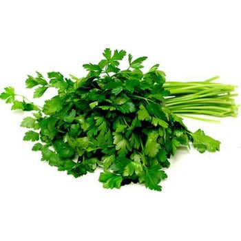 Wholesale Dix Farms Bunched Flat Italian Parsley- Bulk