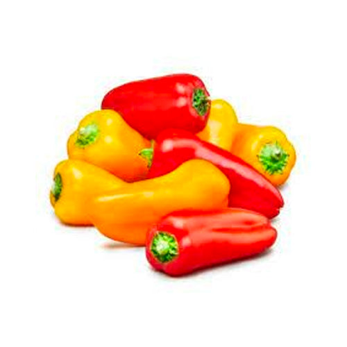 Wholesale Dix Farms Mini Sweet Peppers 1lb- Bulk