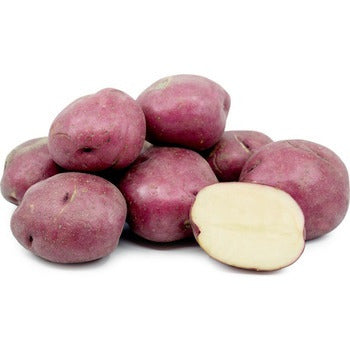 Wholesale Dix Farms Red B Potatoes 50lb- Bulk