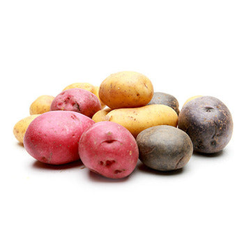 Wholesale Dix Farms Rainbow Creamer Potatoes 20lb- Bulk