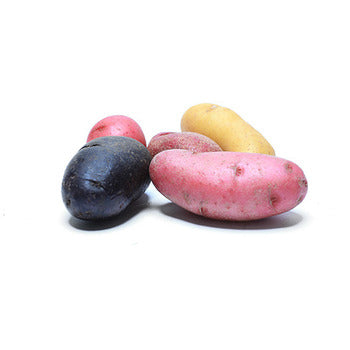 Wholesale Dix Farms Rainbow Fingerling Potatoes 20lb- Bulk