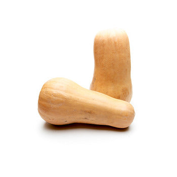 Wholesale Dix Farms Butternut Squash- Bulk
