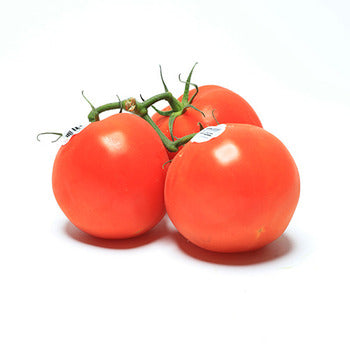 Wholesale Dix Farms Tomatoes on the Vine 11lb- Bulk