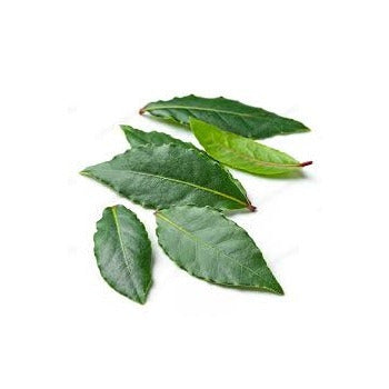 Wholesale Dix Farms Fresh Bay Leaves 4oz- Bulk