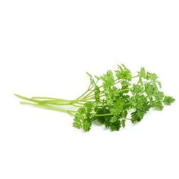 Wholesale Dix Farms Chervil 4oz- Bulk