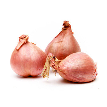 Wholesale Dix Farms Shallots 10lb- Bulk