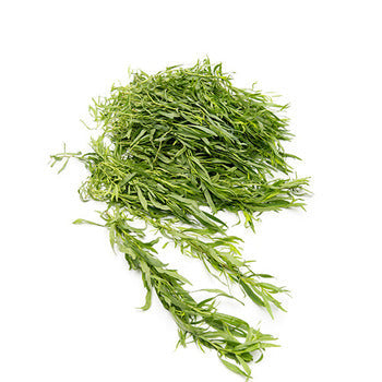 Wholesale Dix Farms Tarragon 4oz- Bulk