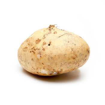 Wholesale Dix Farms Jicama 20lb- Bulk