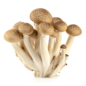 Wholesale Dix Farms Brown Shimeji Mushrooms 3.5oz- Bulk
