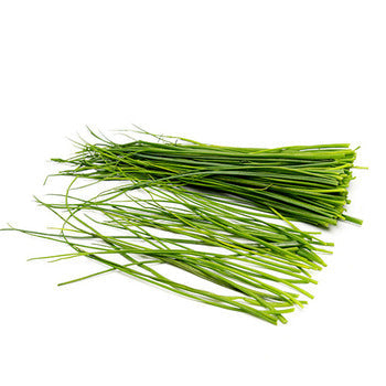 Wholesale Dix Farms Chives 1lb- Bulk