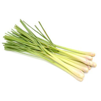 Wholesale Dix Farms Lemongrass 1lb- Bulk