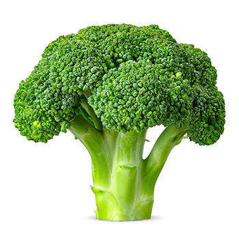 Wholesale Dix Farms Broccoli- Bulk
