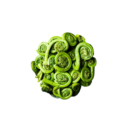 Wholesale Dix Farms Eastern Fiddleheads 1lb- Bulk
