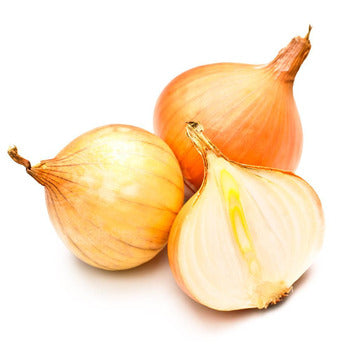 Wholesale Dix Farms Spanish Onions 10lb- Bulk