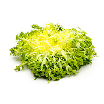 Wholesale Dix Farms Frisee Lettuce- Bulk