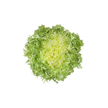 Wholesale Dix Farms Ultra Blanched Frisee Lettuce- Bulk