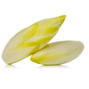 Wholesale Dix Farms Belgian Endive 10lb- Bulk