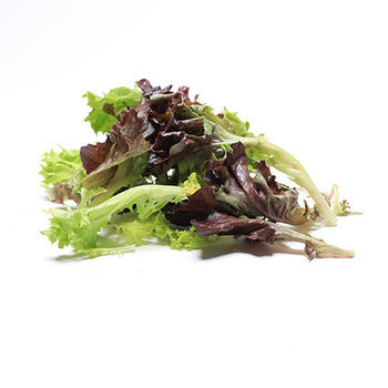 Wholesale Dix Farms Arcadia Salad Mixed Greens 3lb- Bulk
