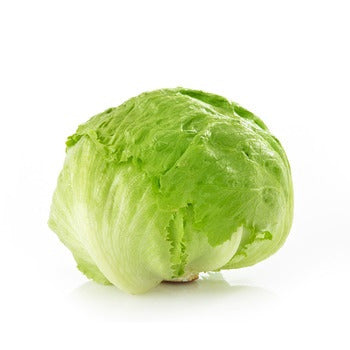 Wholesale Dix Farms Baby Iceberg Lettuce- Bulk