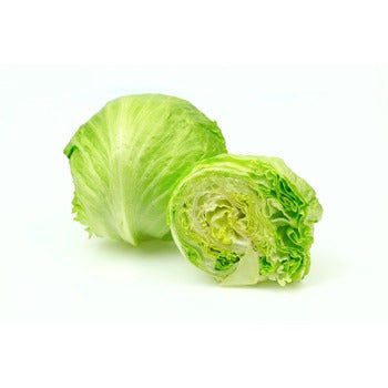Wholesale Dix Farms Iceberg Lettuce- Bulk
