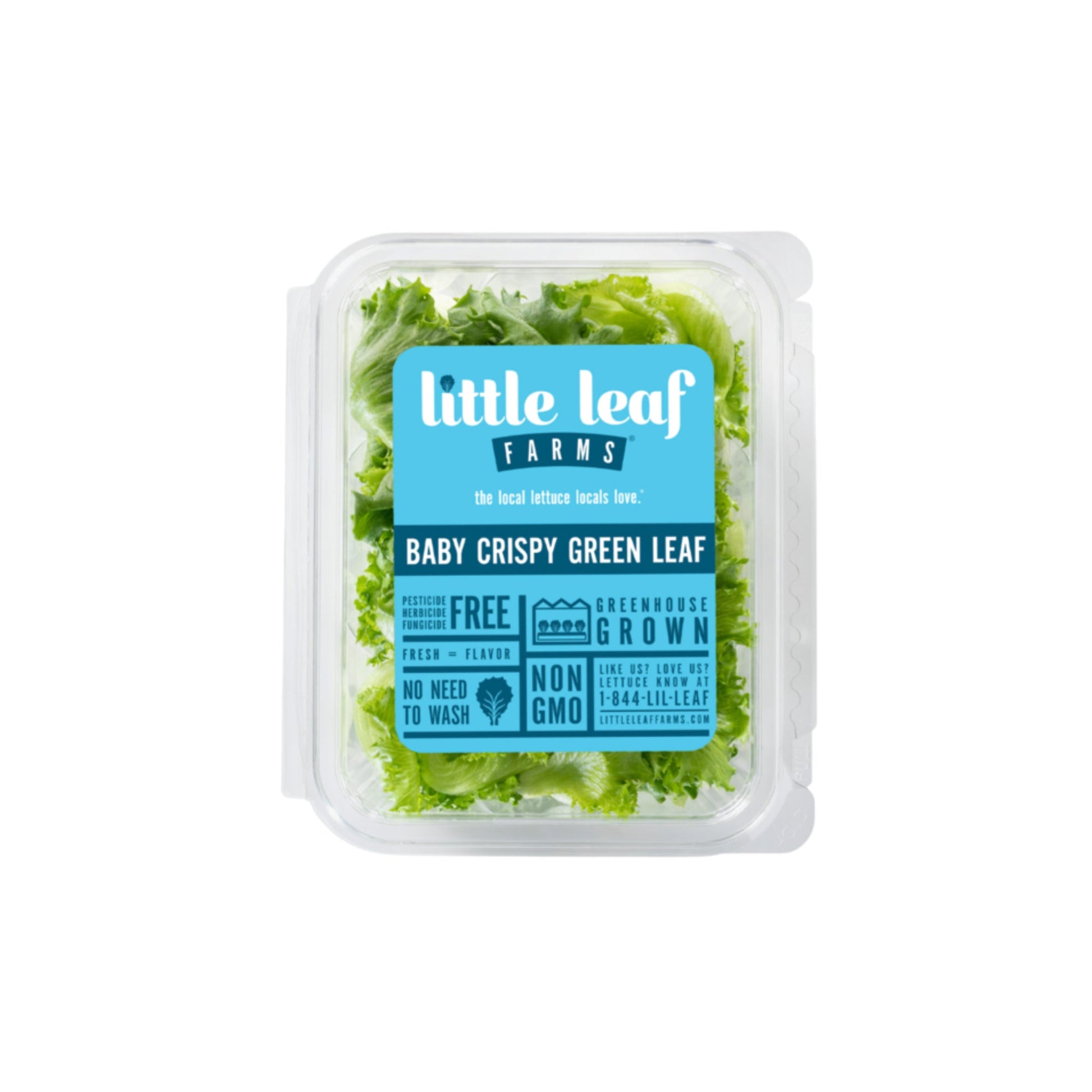 Wholesale Little Leaf Farms Local Crisp Greens 3lb- Bulk