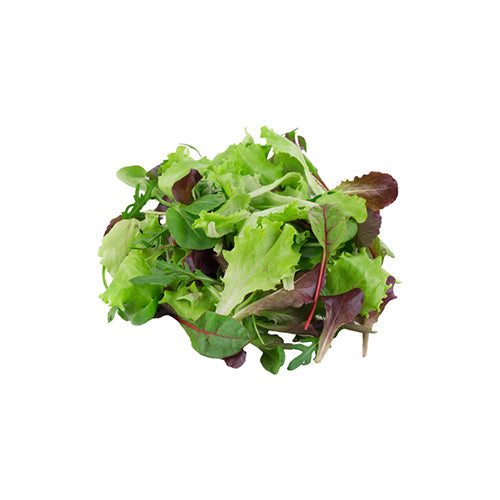 Wholesale Little Leaf Farms Spring Mix, Local 3lb- Bulk