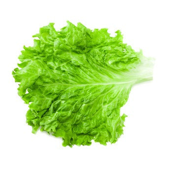 Wholesale Dix Farms Lettuce- Bulk