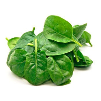 Wholesale Dix Farms California Washed Spinach 2.5lb- Bulk