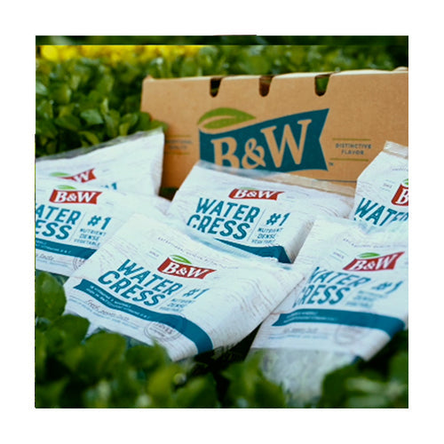 Wholesale B & W Baby Watercress 1.5lb- Bulk