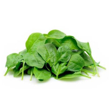 Wholesale Dix Farms Baby Spinach 2lb- Bulk