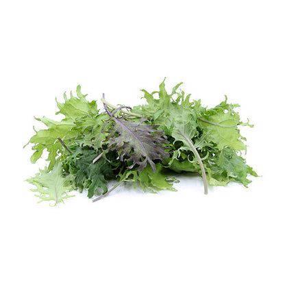 Wholesale Dix Farms Organic Mixed Baby Kale Greens 1.5lb- Bulk