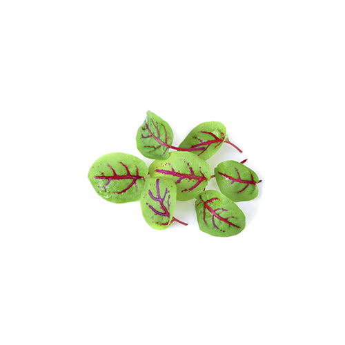 Wholesale Lakeville Specialty Hydroponic Red Sorrel Greens, Local- Bulk