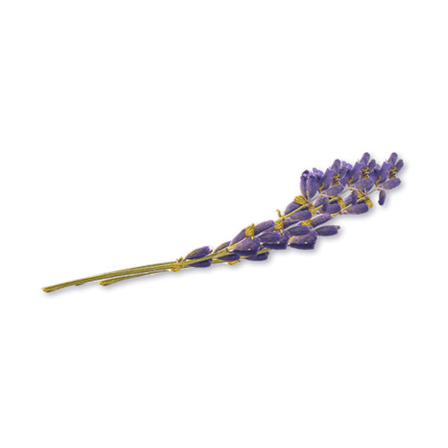 Wholesale Flavour Fields Lavender Wand Blossoms- Bulk