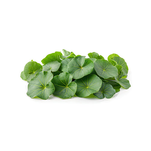 Wholesale Flavour Fields Nasturtium Leaves- Bulk