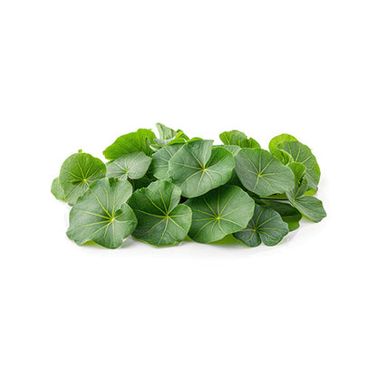 Wholesale Flavour Fields Nasturtium Leaves- Bulk