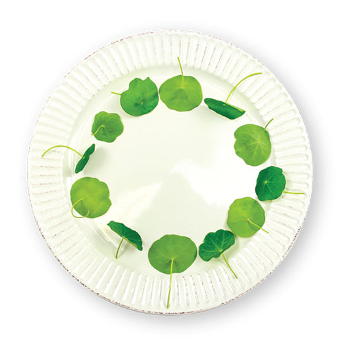 Wholesale Flavour Fields Nasturtium Leaves- Bulk