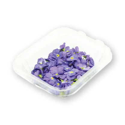 Wholesale Flavour Fields Viola Blossoms- Bulk