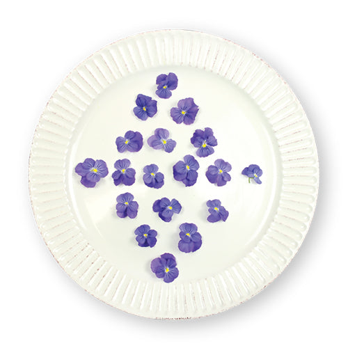 Wholesale Flavour Fields Viola Blossoms- Bulk